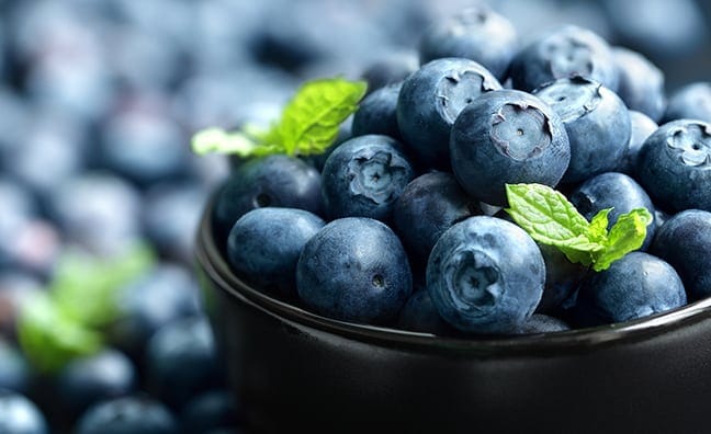 Why Food, Sleep and Exercise are Critical to Success