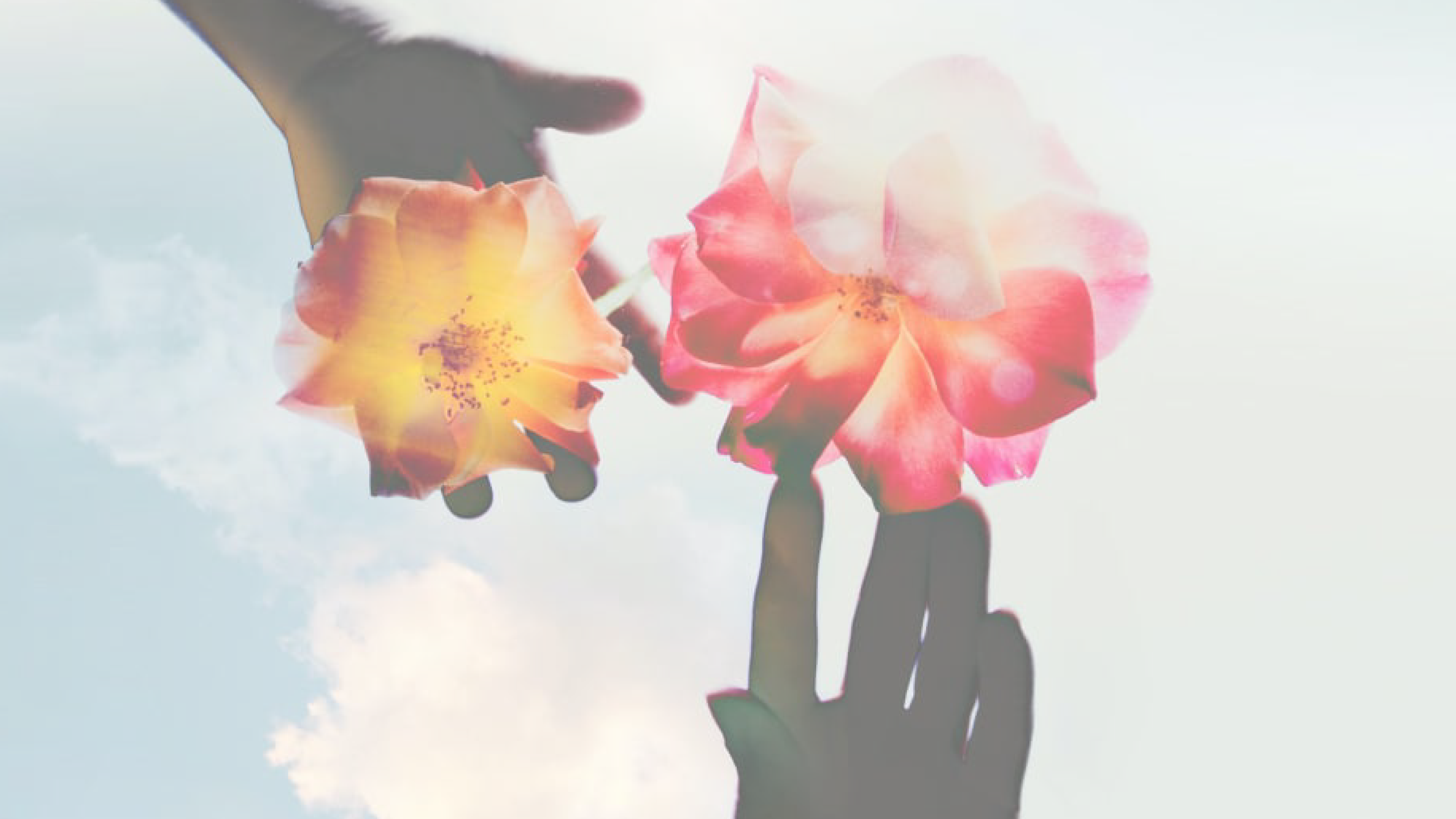 5 Reasons Highly Sensitive People Are an Asset to Your Team
