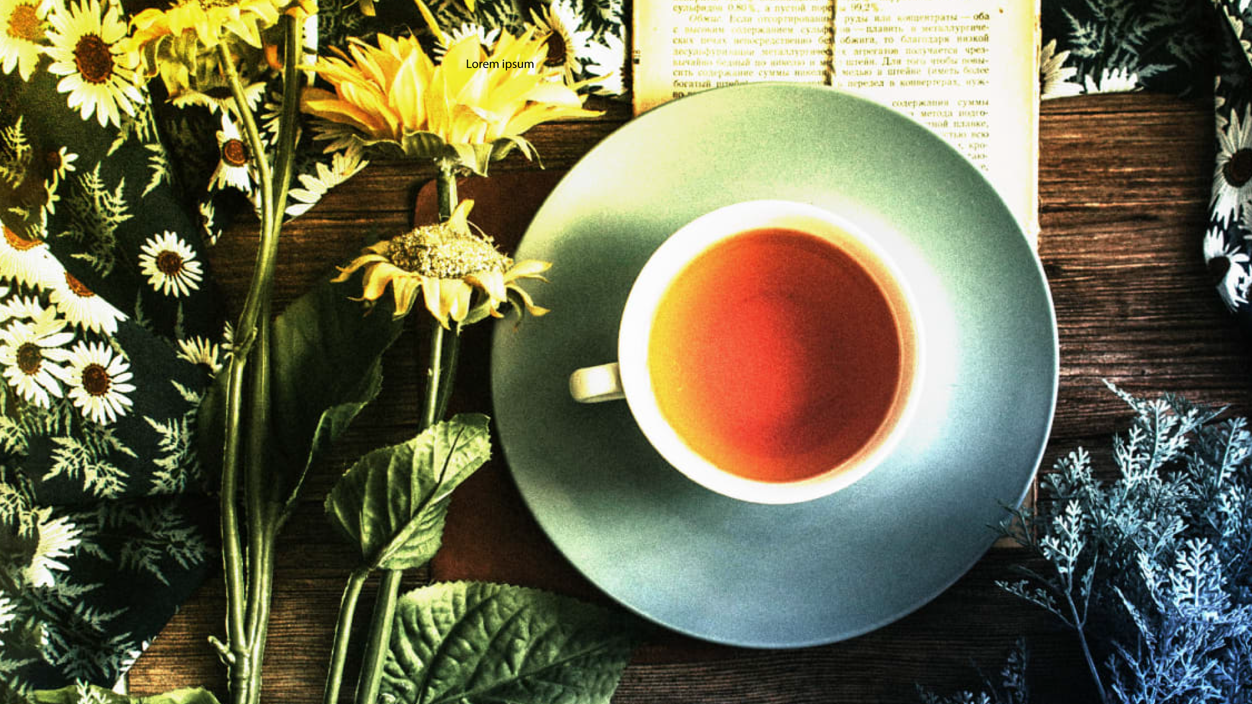 The 5 Rules of Self-Care for Great Leaders