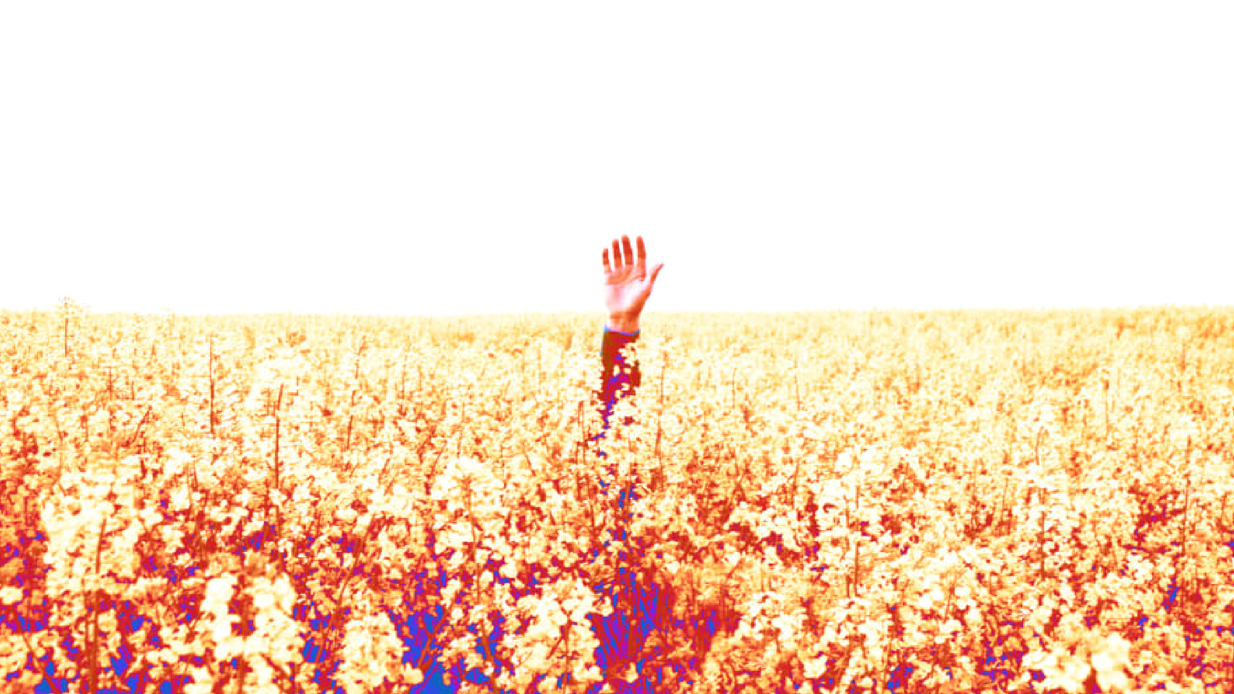 How to Remain Visible to Your Boss When You Work Remotely