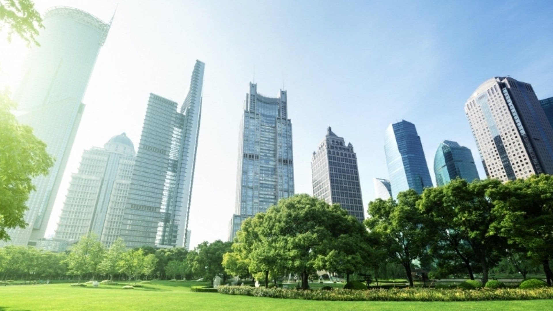 Work Hard, Play Hard: How to Keep Your Team Motivated During the Summer Months