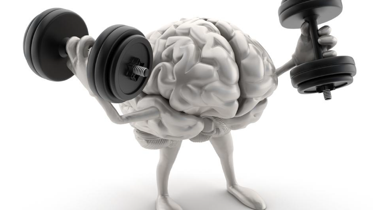 10 Things a Working Brain Needs to Build a Healthy, Successful Career