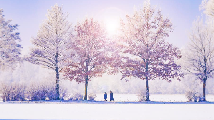 How to Improve Your Ability to Relax During the Pandemic Holidays