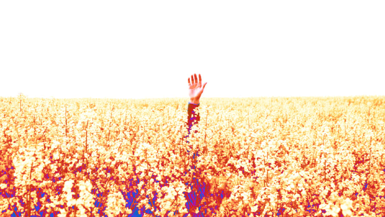 How to Remain Visible to Your Boss When You Work Remotely