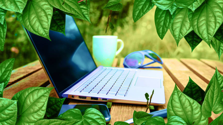 This One Thing Can Break Up the Monotony of Remote Work