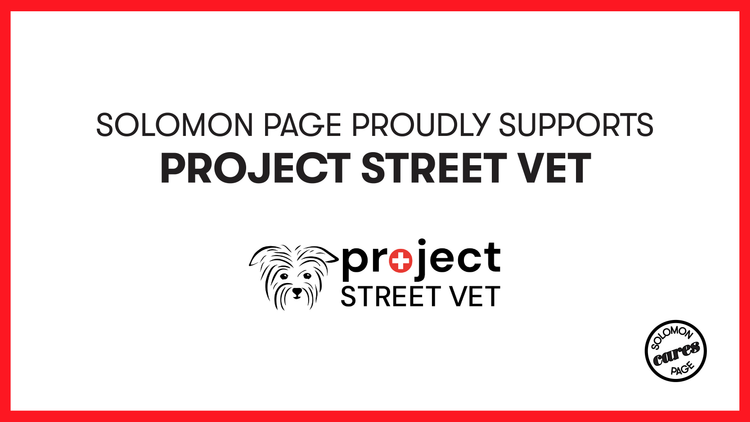 Solomon Page Proudly Supports Project Street Vet